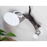 Kradsebrtter til katte Trixie Hvid Gr  18 cm #4