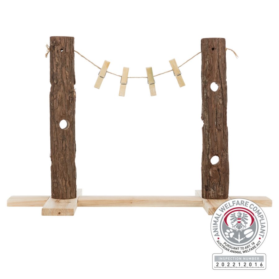 Hund Bidering Trixie #1