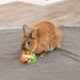 Hund Bidering Trixie  6  15 CM #3