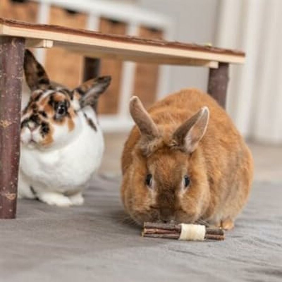 Trningslegetj Trixie Tr Tang 10  3 CM (2 enheder) #2