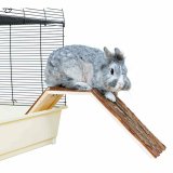 Bro Trixie 63  18  15 cm #2