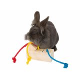 2-i-1 Treat Dispenser Legetj til kledyr Trixie 16  6  7 CM #5