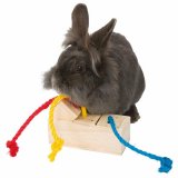 2-i-1 Treat Dispenser Legetj til kledyr Trixie 16  6  7 CM #6