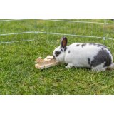 2-i-1 Treat Dispenser Legetj til kledyr Trixie Tr 15  4,5  6 CM #3