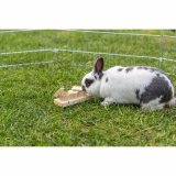 2-i-1 Treat Dispenser Legetj til kledyr Trixie Tr 15  4,5  6 CM #4