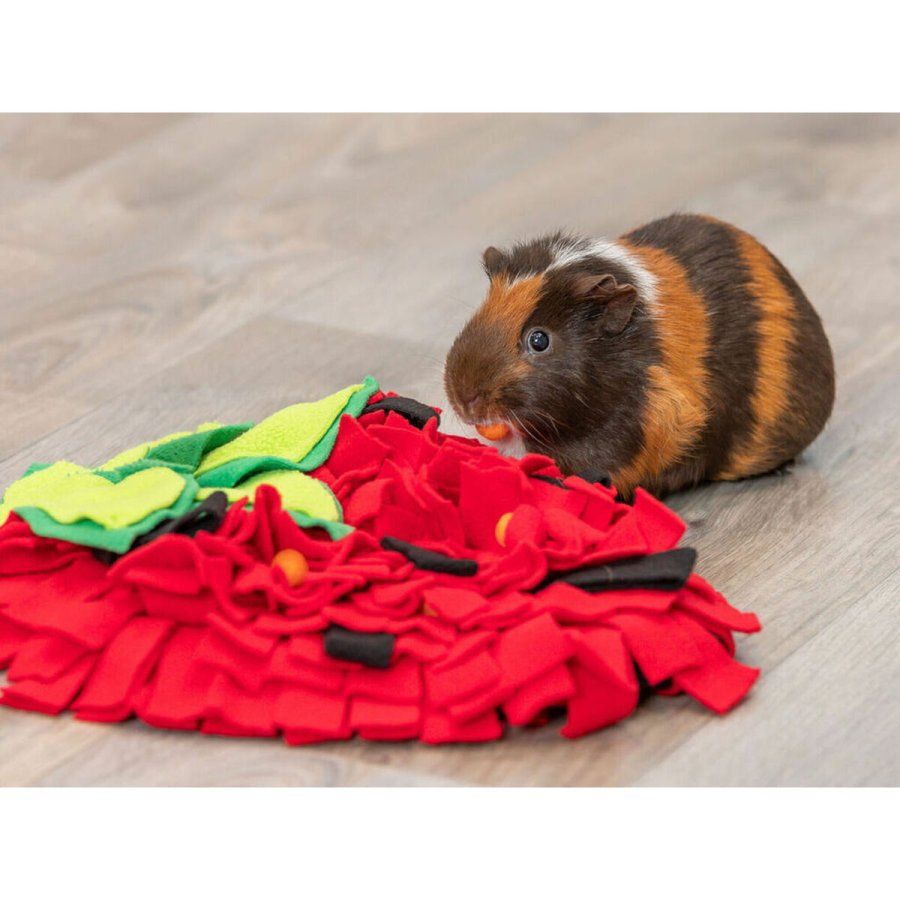 Legetppe Trixie Rd Polyester 33  40 cm #7