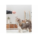 Plush legetj til hunde Trixie #7