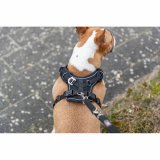 Hundesele Trixie Premium FlexMesh Sort XS/S #4