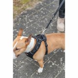 Hundesele Trixie Premium FlexMesh Sort S-M #6