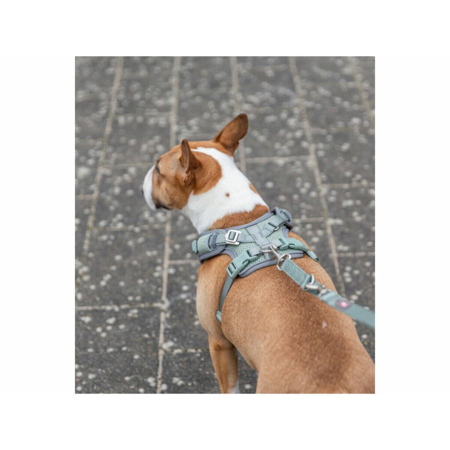 Hundesele Trixie Premium FlexMesh S-M #3