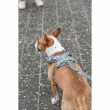 Hundesele Trixie Premium FlexMesh S-M #4