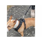 Hundesele Trixie Premium FlexMesh Sort M #5