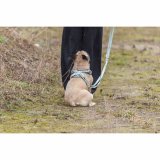 Hundesele Trixie Premium FlexMesh M #6