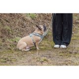 Hundesele Trixie Premium FlexMesh M #7