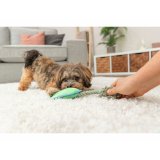 Plush legetj til hunde Trixie Bl Grn Polyester 22 cm #5