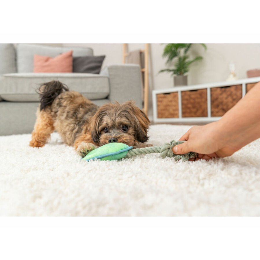 Plush legetj til hunde Trixie Bl Grn Polyester 22 cm #5