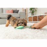 Plush legetj til hunde Trixie Bl Grn Polyester 22 cm #6