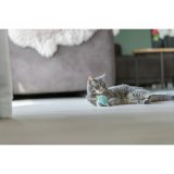 Legetj til katte Trixie Hjerte #3