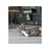 Legetj til katte Trixie Ansigt #7