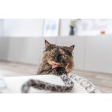 Kradsebrtter til katte Trixie Leo Fldefarvet 25 cm #7