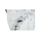 Foldetunnel til k�ledyr Trixie Harvey Polyester � 25 x 160 cm #3