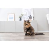 Legetj til katte Trixie Brun Beige Polyester Plastik Stjerne #3