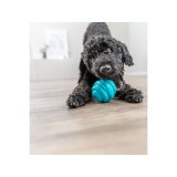 Leget�j til hunde Trixie Super Strong Bl� #2