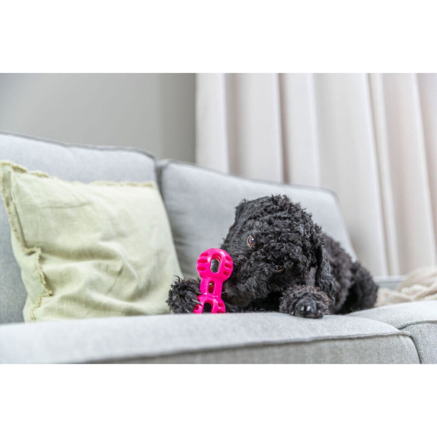 Leget�j til hunde Trixie Soft & Strong Pink #2