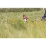 Leget�j til hunde Trixie Soft & Strong Pink #3