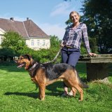 Hundehalsbnd Hunter Swiss Brun Sort M 55 cm #4