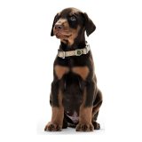Hundehalsbnd Hunter Alu-Strong Gr Strrelse L (45-65 cm) #2