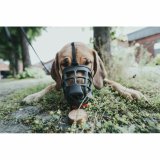 Mundkurv Hunter Albury 3 Sort #2