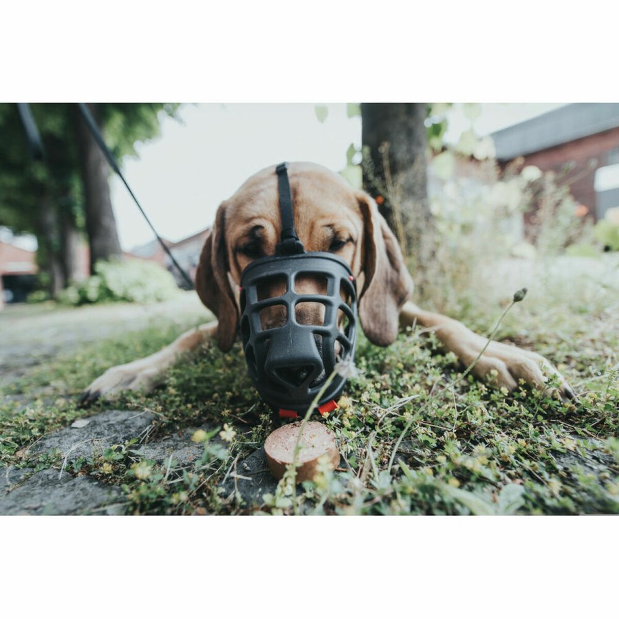 Mundkurv Gloria Albury Sort 5 #2