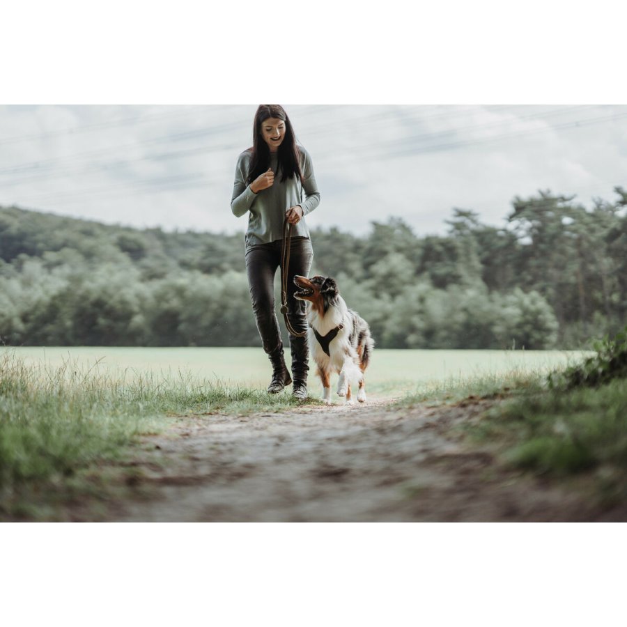 Hundebly Hunter Brun 2 m Justerbar Lder #4