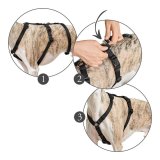 Hundesele Hunter 48-70 cm Sort S/M #1