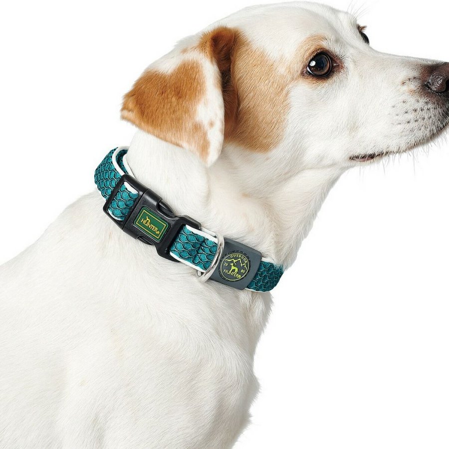 Hundehalsbnd Hunter Basic Gevind Strrelse M Lime (33-50 cm) #1
