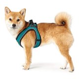 Hundesele Hunter Hilo Comfort 55-60 cm Strrelse M Turkisbl #4