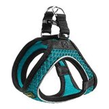 Hundesele Hunter Hilo-Comfort Turkisbl M/L (58-63 cm) #1