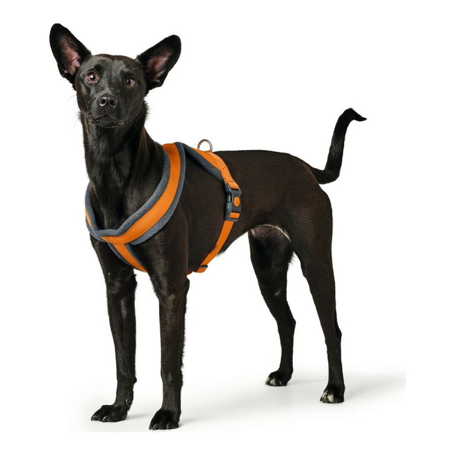 Hundesele Hunter London Comfort 39-47 cm Orange XS/S #1