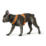 Hundesele Hunter London Comfort 48-56 cm Orange Strrelse S/M #3