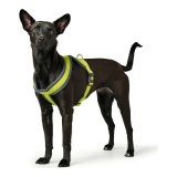 Hundesele Hunter London Comfort XS-S 39-47 cm Lime #1