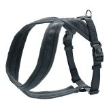 Hundesele Hunter London XS-S 39-47 cm Antracit #1