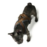 Hundesele Hunter London Comfort XS-S 39-47 cm Brun #1