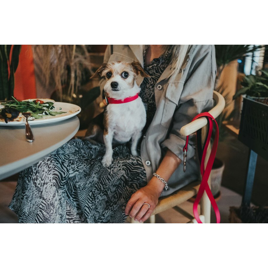 Hundehalsbnd Hunter Convenience 47-55 cm Fuchsia L #2