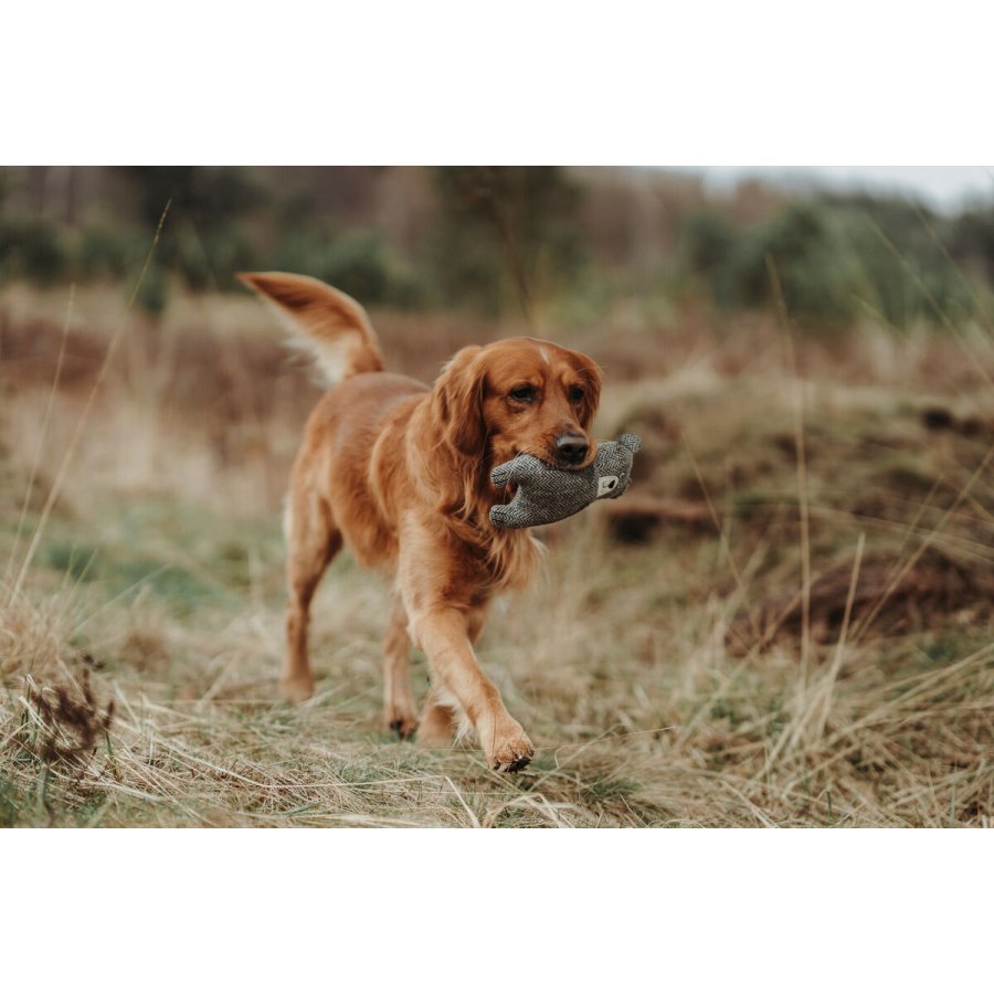 Plush legetj til hunde Hunter Gr 100 % Genbrug Bjrn #2