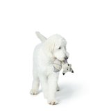 Plush legetj til hunde Hunter Beige 100 % Genbrug Rv #3