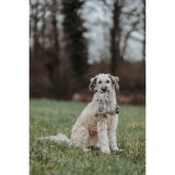 Plush legetj til hunde Hunter Beige 100 % Genbrug Rv #5