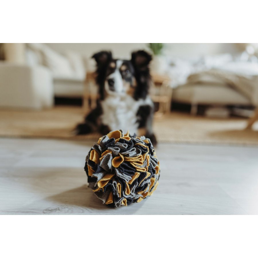 Legetj til hunde Hunter #4