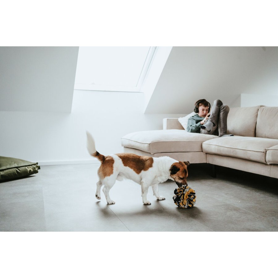 Legetj til hunde Hunter #5