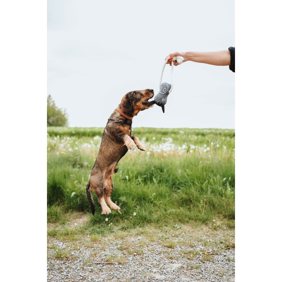 Legetj til hunde Hunter NEBRASKA Gr Hest #3